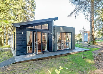 Beech Platinum Stars - Kielder Waterside, Kielder Water and Forest Park