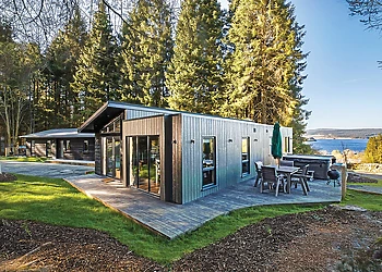 Beech Platinum Stars - Kielder Waterside, Kielder Water and Forest Park