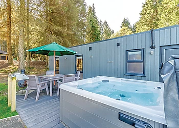 Beech Platinum Stars - Kielder Waterside, Kielder Water and Forest Park