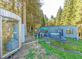 Beech Platinum Stars - Kielder Waterside, Kielder Water and Forest Park