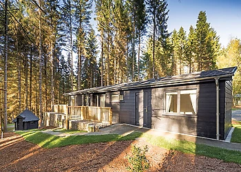 Willow Platinum BBQ (Pet) - Kielder Waterside, Kielder Water and Forest Park