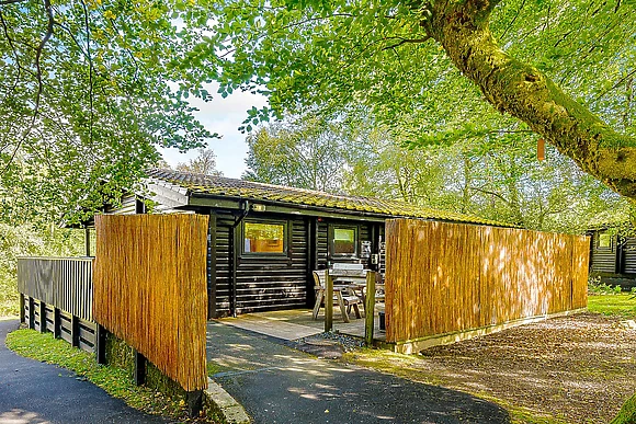 Catleugh Spa (Pet) - Kielder Waterside, Kielder Water and Forest Park