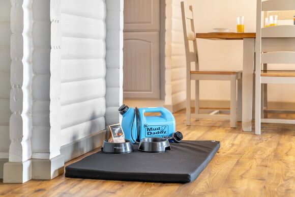 Catleugh Spa (Pet) - Kielder Waterside, Kielder Water and Forest Park