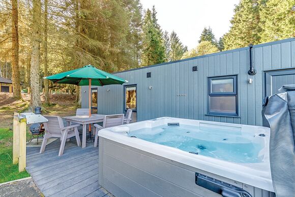 Beech Platinum Stars - Kielder Waterside, Kielder Water and Forest Park