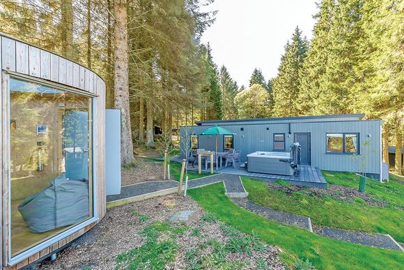 Beech Platinum Stars - Kielder Waterside, Kielder Water and Forest Park