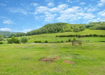 Two Hoots - Kitty&rsquo;s View Country Lodges, Broxton, Nr Chester