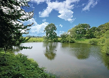 The park setting<br />