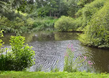 Ladera Retreat Lodges, Eaton, Congleton