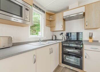 Ivy - Lady&rsquo;s Mile Holiday Park, Dawlish