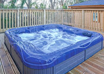 Alder Lodge (Pet) - Lady&rsquo;s Mile Holiday Park, Dawlish