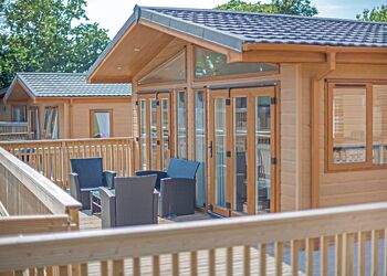 Hornbeam (Pet) - Lady&rsquo;s Mile Holiday Park, Dawlish