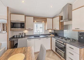 Ivy Platinum - Lady&rsquo;s Mile Holiday Park, Dawlish