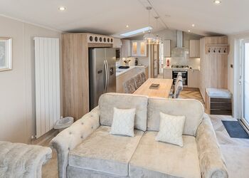 Ivy Platinum (Pet) - Lady&rsquo;s Mile Holiday Park, Dawlish