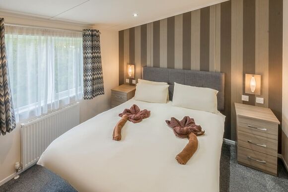 Alder - Lady&rsquo;s Mile Holiday Park, Dawlish