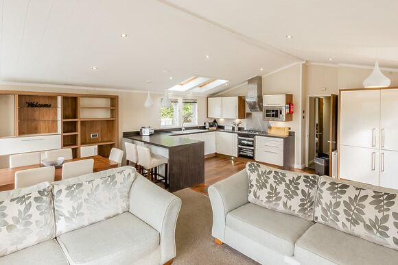 Silver Birch (Pet) - Lady’s Mile Holiday Park, Dawlish