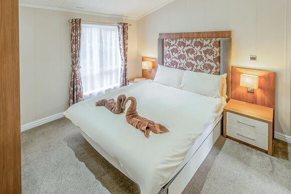 Silver Birch (Pet) - Lady’s Mile Holiday Park, Dawlish