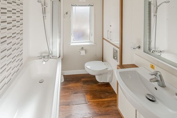 Silver Birch (Pet) - Lady&rsquo;s Mile Holiday Park, Dawlish