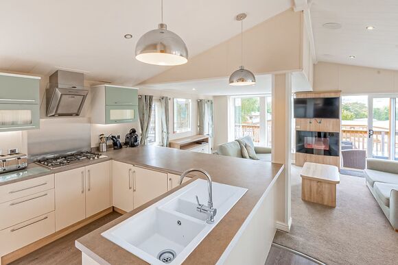 Silver Birch Plus (Pet) - Lady&rsquo;s Mile Holiday Park, Dawlish