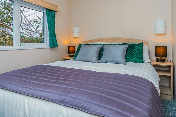 Sycamore Premier (Pet) - Lady&rsquo;s Mile Holiday Park, Dawlish