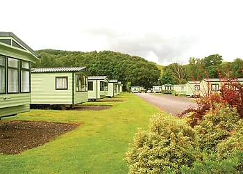 The park setting