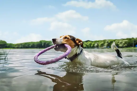 Loch Awe Holiday Park, Bridge of Awe, Taynuilt, Argyll