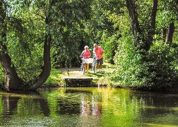 Relaxing around the park