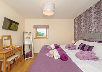 Corry Brook Cottage - Larkshayes Cottages, Dalwood, Axminster