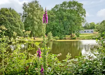 Lakeview Manor Lodges, Dunkeswell, Honiton