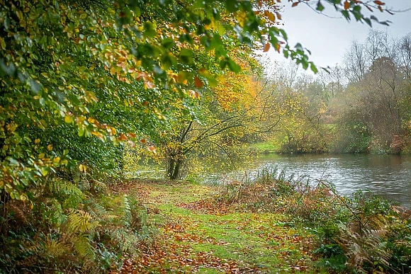 Lakeview Manor Lodges, Dunkeswell, Honiton
