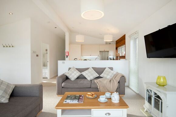 Lake View 3 bedroom lodge with hot tub (sleeps 6) - Lakeview Manor Lodges, Dunkeswell, Honiton