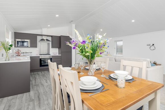 Valley View 3 bed Pet (Sleeps 6) - Lakeview Manor Lodges, Dunkeswell, Honiton