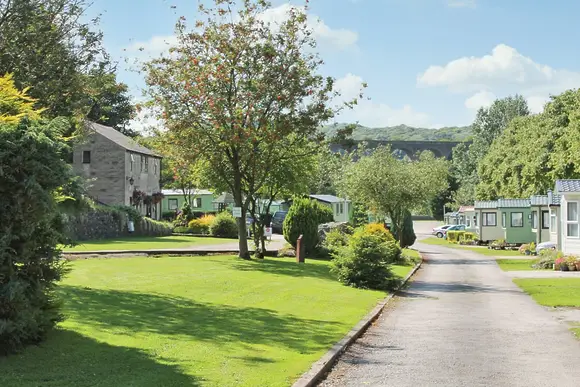 Lime Tree Park