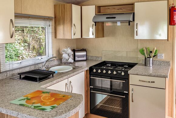 Typical Chestnut Caravan (Pet) 