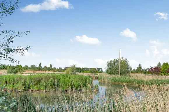 Serenity Lakes, Fleet