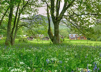 Loch Lomond Waterfront Luxury Lodges, Balmaha