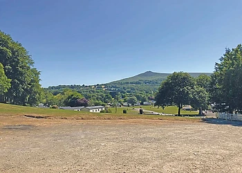The park setting 