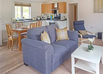 Chalet Park Lodge - Llwyngwair Manor Holiday Park, Newport, Pembrokeshire