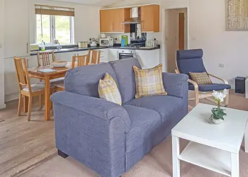 Chalet Park Lodge - Llwyngwair Manor Holiday Park, Newport, Pembrokeshire