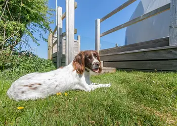 Lynmouth Holiday Retreat, Lynton