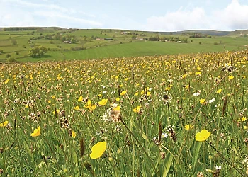 Longnor Wood Holiday Park, Longnor, Nr. Buxton