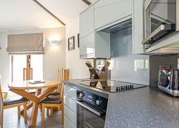 Cabin 1 bed HT -  Loch Tay Highland Lodge Park, Killin