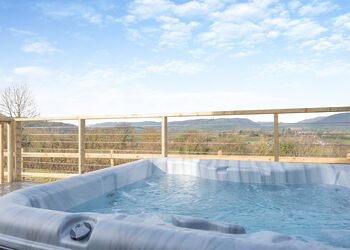 Hillside Cabin Platinum - Love2Stay Mid Wales, Newtown