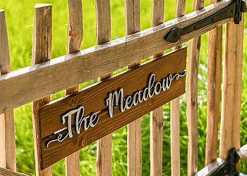 Meadow and Nest Burrow - Luckington Burrows, Frome