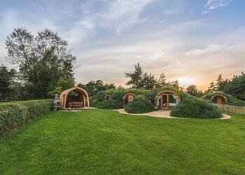 Meadow and Nest Burrow - Luckington Burrows, Frome