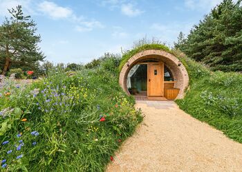 Hive and Spruce Burrow - Luckington Burrows, Frome