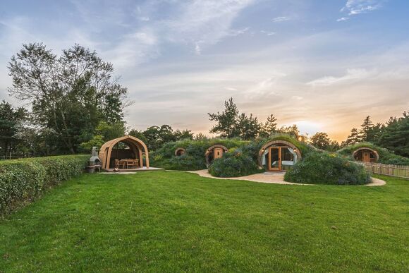 Meadow and Nest Burrow - Luckington Burrows, Frome