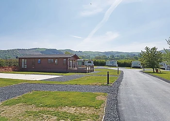 The park setting 