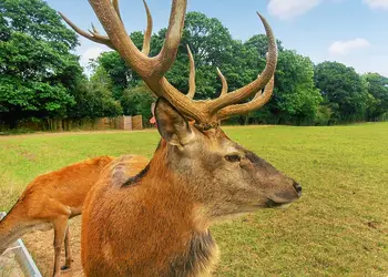 Malvern View Country and Leisure Park, Worcester