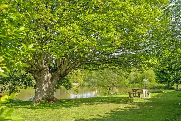 Malvern View Country and Leisure Park, Worcester