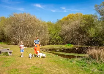 Marlie Holiday Park, New Romney